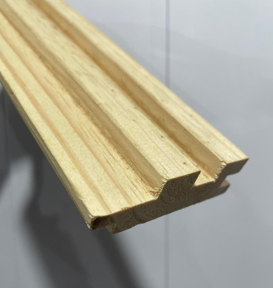 Ripado Macho E Femea 